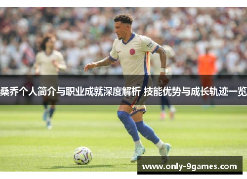 桑乔个人简介与职业成就深度解析 技能优势与成长轨迹一览